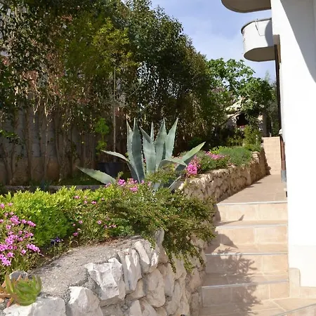 Villa Maslina Zadar Exterior photo
