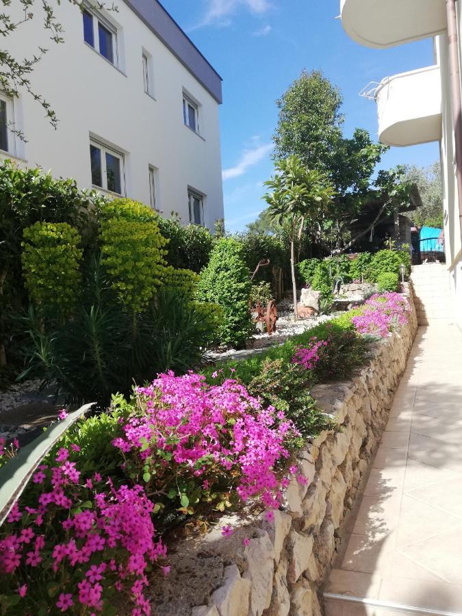 Apartmán Maslina Zadar