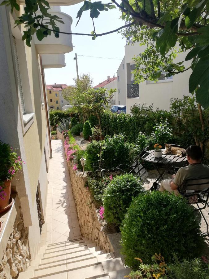 Apartment Maslina